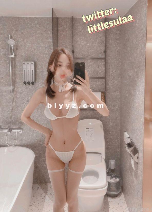 推特、onlyfans博主韩国极品嫩妹little_sula付费订阅福利视频图包资源分享 133P/54V/15.63G