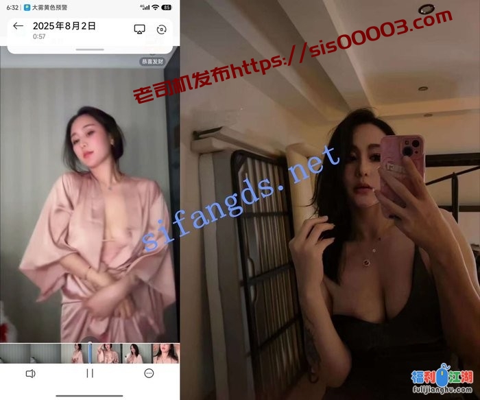 【抖音】L.露 1000场会议合集 加高价定制 36V[某房原版]【4.17G】