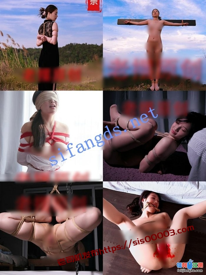 【超精品】SM摄影大师【老摆】最新摄影作品散集整理[某房原版]【450M】